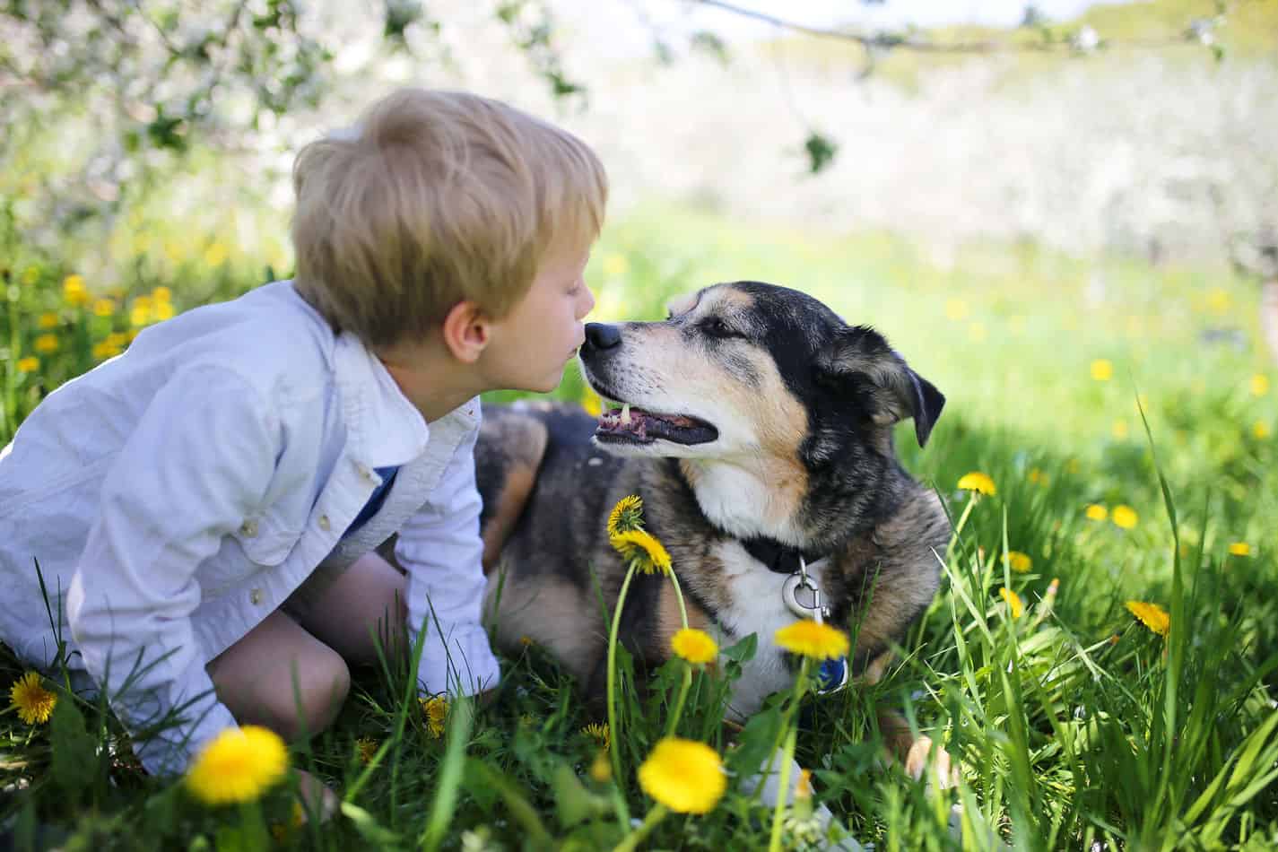 What Is A Good Pet For A 7-Year-Old 