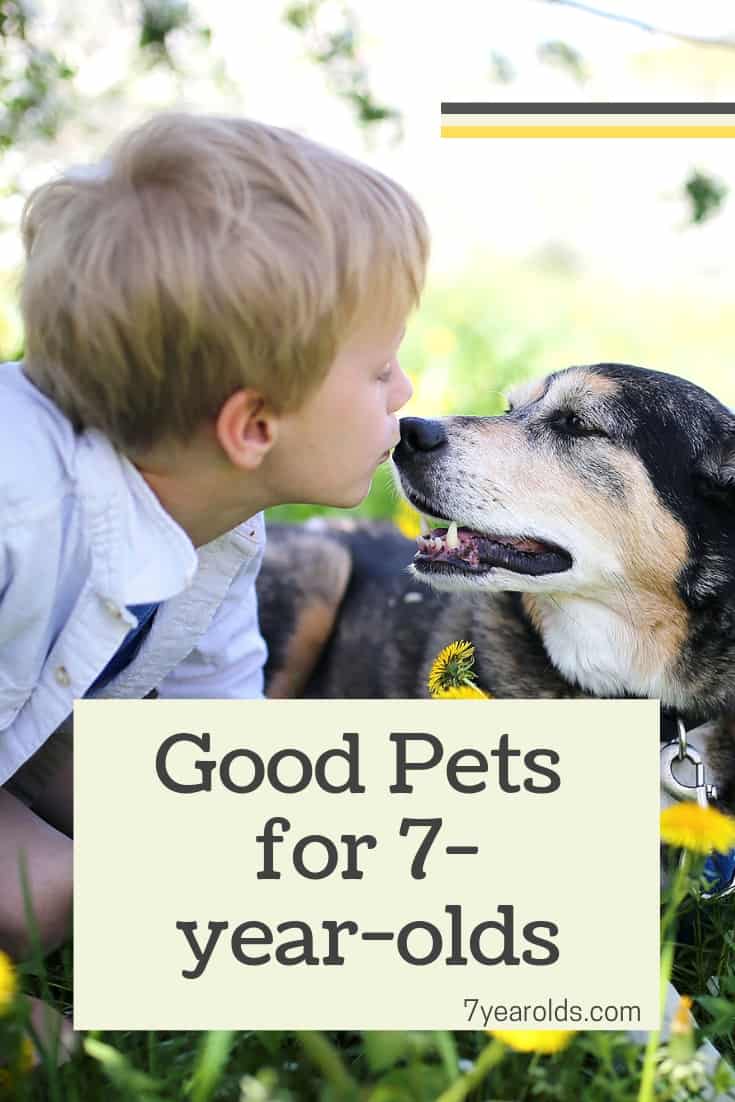What Is A Good Pet For A 7 Year Old 7 Year Olds
